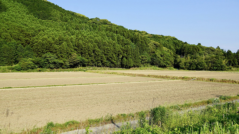 農地・山林